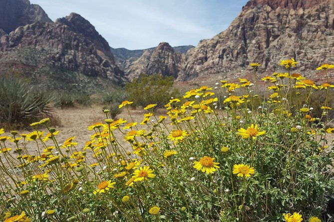 red-rock-canyon-ebike-half-day-tour