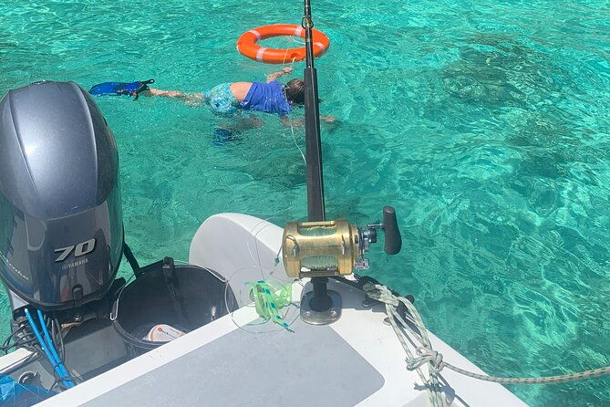 reef-safari-snorkeling-fish-feeding-lunch-shared-day-trip