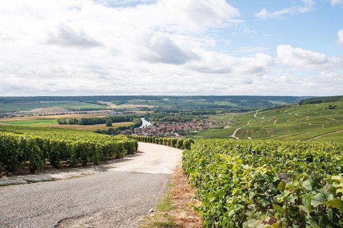 reims-afternoon-tour-champagne-and-family-growers