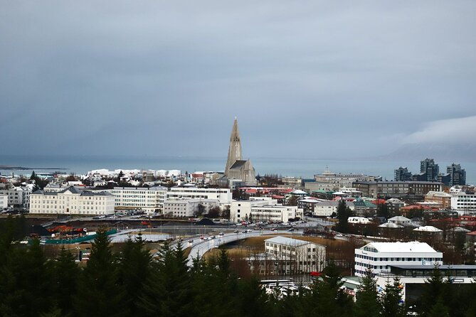 reykjavik-city-private-tour