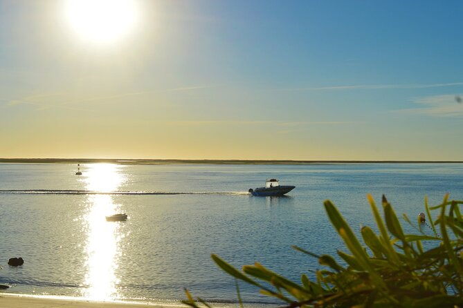 ria-formosa-ilhas-sunset-boat-trip