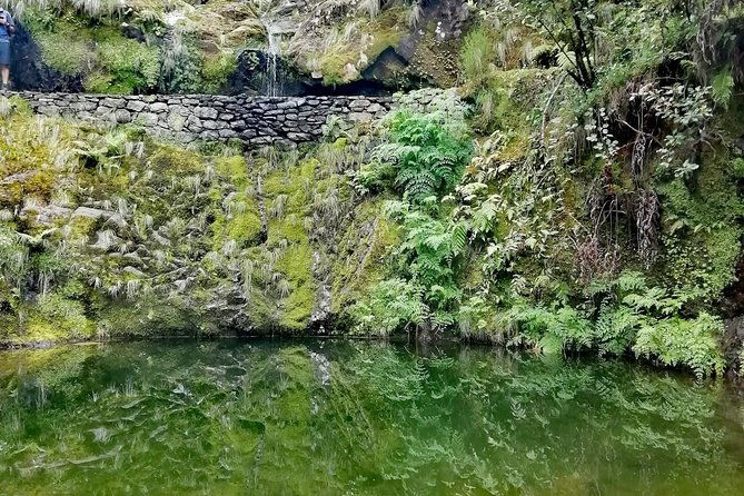 ribeiro-frio-portela