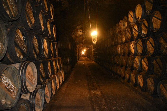 rioja-alta-and-rioja-alavesa-wine-tour