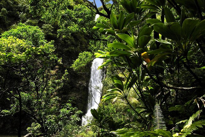 road-to-hana-luxury-limo-van-tour-with-helicopter-flight