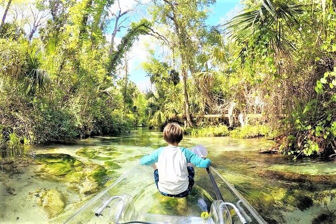 rock-springs-2-hour-glass-bottom-guided-kayak-eco-tour