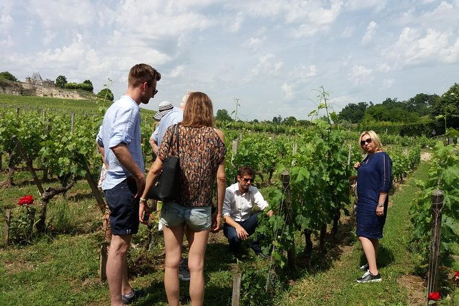 saint-emilion-wine-tour-half-day