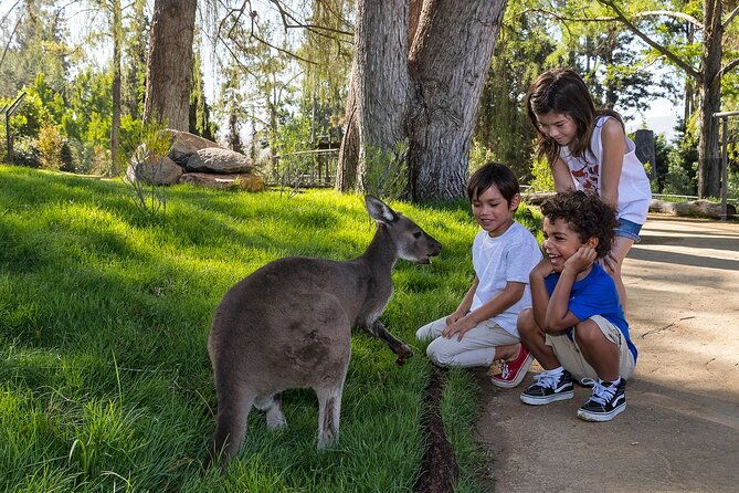 san-diego-zoo-safari-park-1-day-pass-any-day-ticket