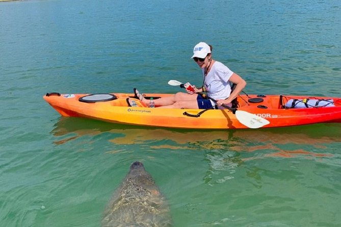 sarasota-guided-mangrove-tunnel-kayak-tour