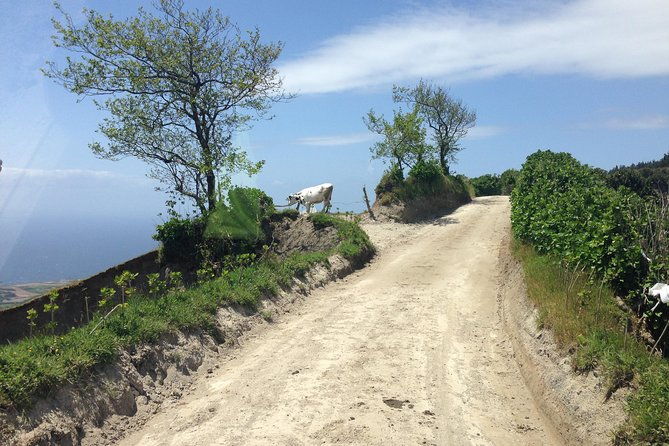 scenic-trails-of-sete-cidades-half-day-jeep-adventure