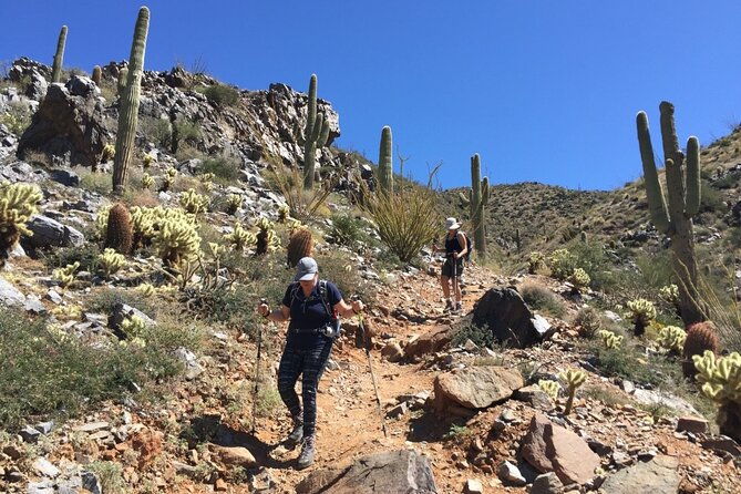 scottsdale-desert-classic-guided-hiking-adventure