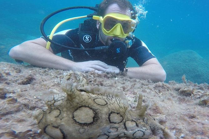scuba-diving-experience-in-taormina