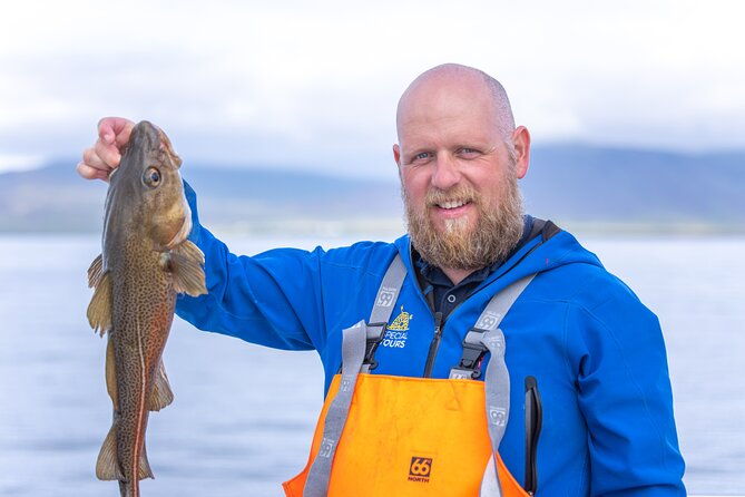 sea-fishing-experience-from-reykjavik