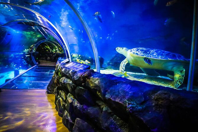 sea-life-birmingham-admission-ticket