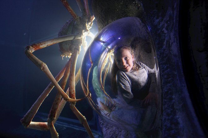 sea-life-manchester-admission-ticket
