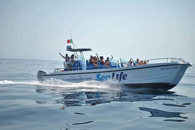 sealife-sea-safari-dolphin-watching-with-marine-biologists-lagos