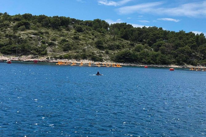 secrets-of-brac-and-solta-off-the-beaten-track-croatia