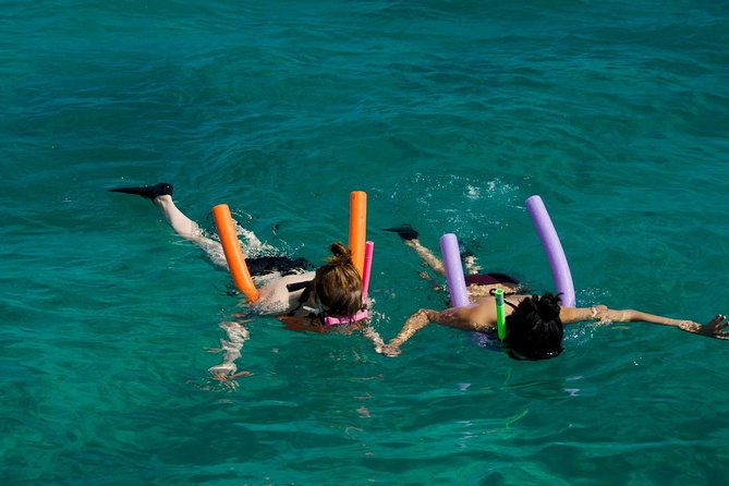 shallow-water-snorkeling-and-dolphin-watching-in-key-west
