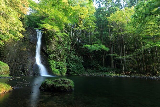 shirakami-sanchi-day-hike-with-government-licensed-guide