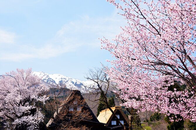 shirakawa-go-from-takayama-nagoya-one-day-bus-ticket
