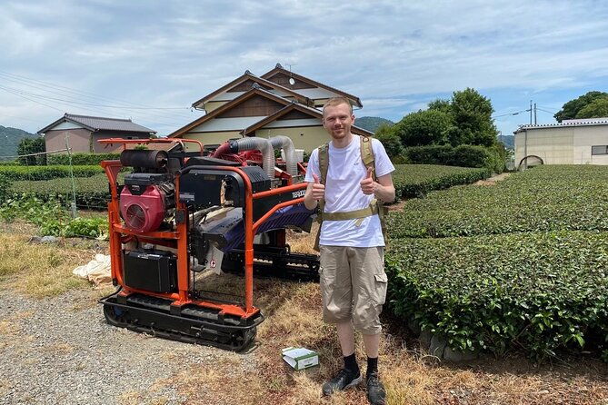 shizuoka-tea-picking-private-experience