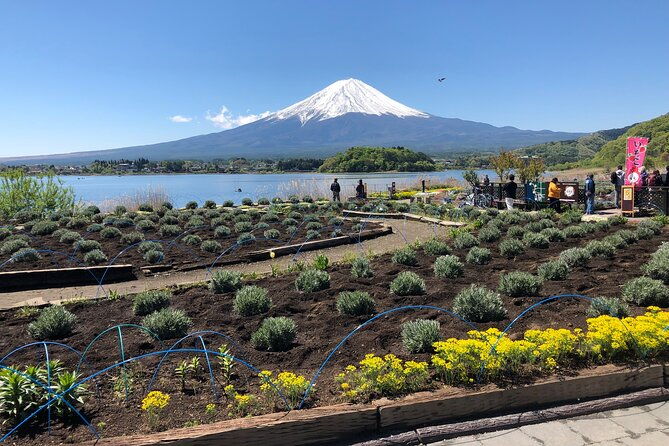 shuttle-van-tour-mt-fuji-from-tokyo-and-yokohama