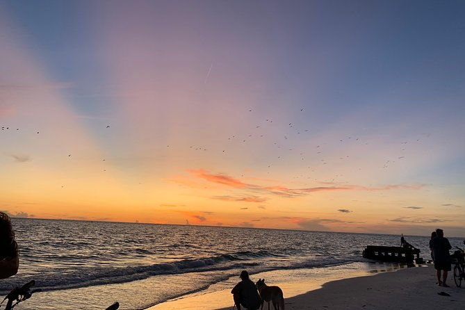 siesta-key-electric-bike-sunset-tour