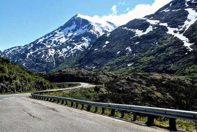 skagway-shore-excursion-half-day-tour-to-the-yukon-border-and-suspension-bridge