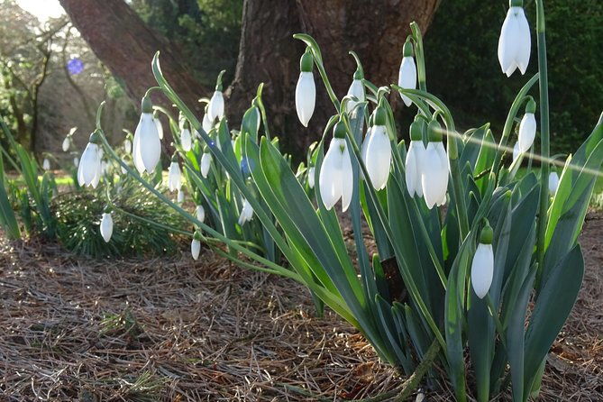 skip-the-line-botanic-garden-entry-ticket