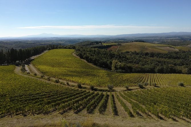 small-group-chianti-trip-with-wine-tasting-from-siena