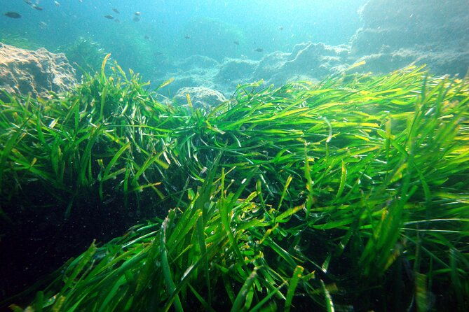 small-group-diving-adventure-in-menorca