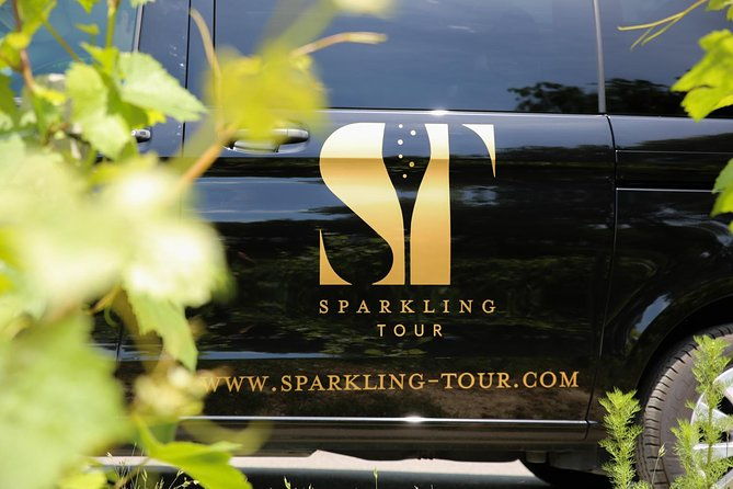 small-group-half-day-champagne-tour-visit-of-2-small-producers-growers
