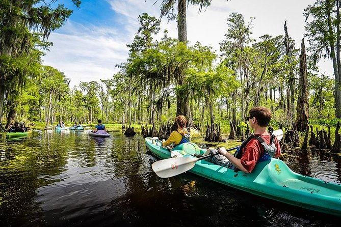 small-group-manchac-swamp-kayak-tour-with-local-guide