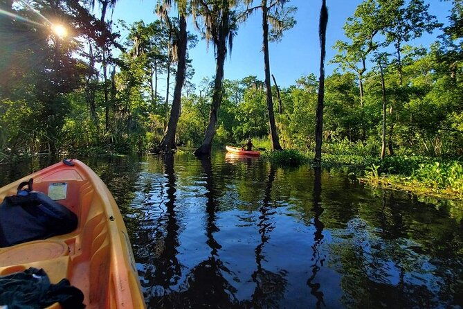 small-group-manchac-swamp-kayak-tour