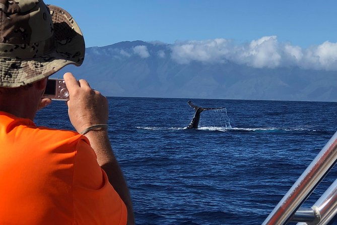 small-group-whale-watching-adventure