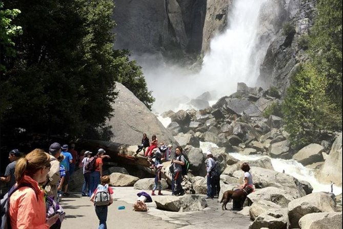 small-group-yosemite-and-giant-sequoias-day-trip-from-san-francisco