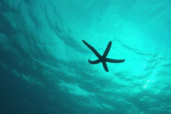 snorkeling-in-the-blue-cave-area%e3%80%90okinawa-prefecture-free-feeding-photo-imagesenglish-and-chinese-speaking-guide-available