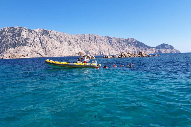 snorkeling-marine-protected-area-tavolara
