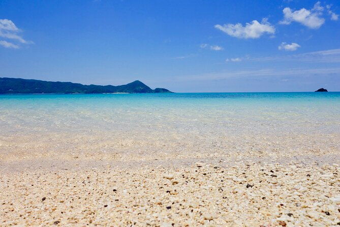 snorkeling-with-sea-turtles