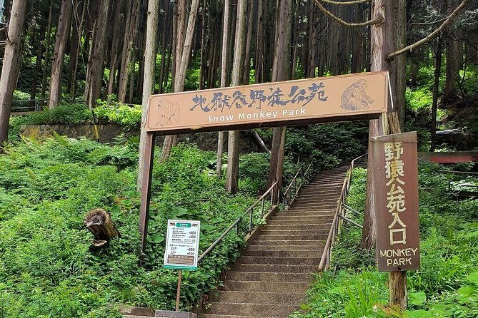 snow-monkey-nagano-one-day-private-tour-with-english-guide
