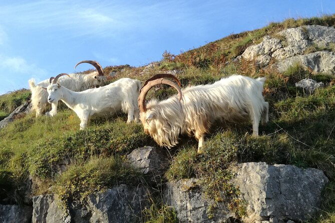 snowdonias-mountains-lakes-mines-private-tour
