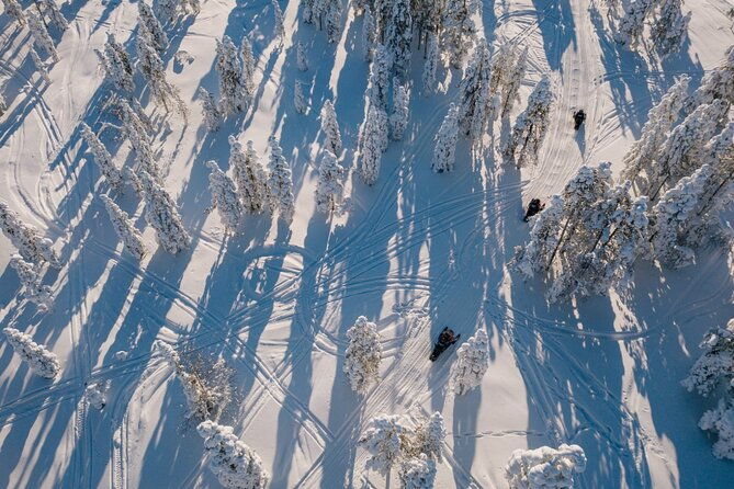 snowmobile-safari-through-lappish-forest-from-rovaniemi