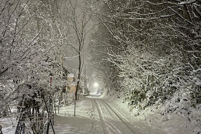 snowshoeing-and-onsen-adventures-in-a-winter-wonderland-sapporo