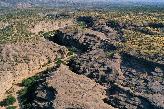 sonoran-desert-jeep-tour