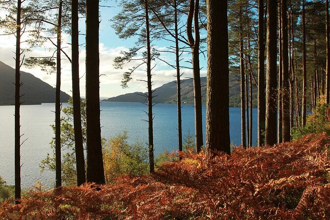 stirling-castle-loch-lomond-and-cruise-day-tour-from-glasgow