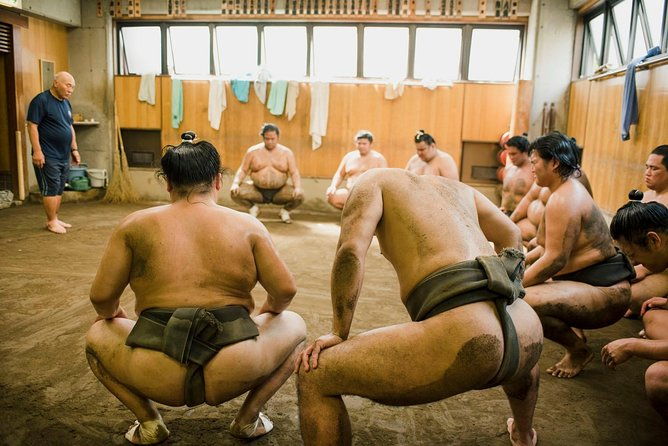 sumo-training-session