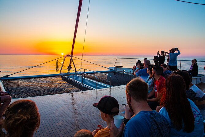 sunrise-boat-trip-in-mallorca-with-dolphin-watching