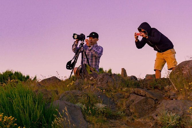 sunrise-tour-pico-do-areiro-half-day-4x4-tour