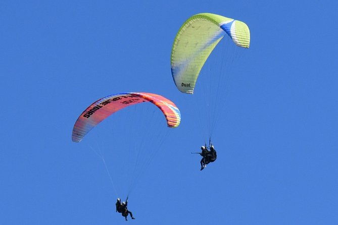 tandem-paragliding-flights-from-vik