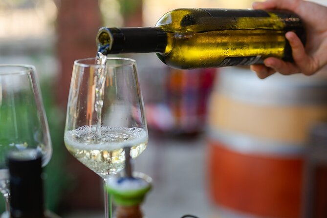 taste-of-istria-wine-brandy-vinegar-local-food