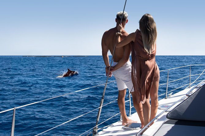 tenerife-whale-watching-on-private-charter